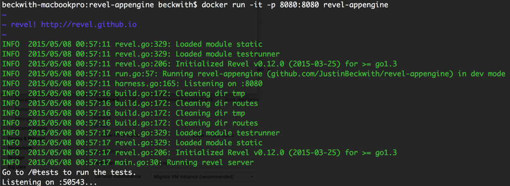 "Running revel in docker"